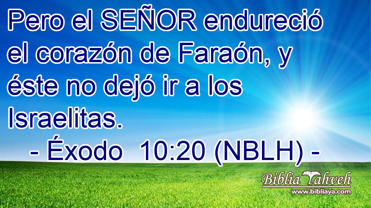  Pero el SEÑOR endureció el corazón de Faraón, y éste no dejó ir a los Israelitas. 