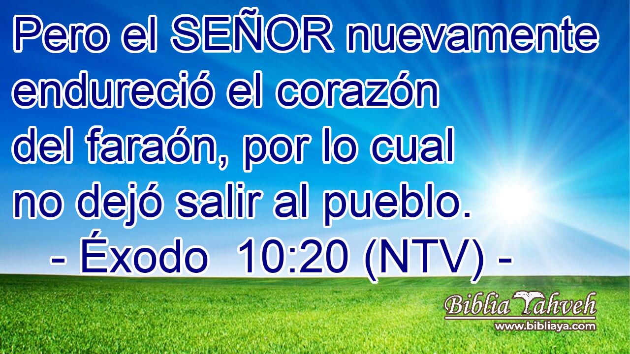 Pero el SEÑOR nuevamente endureció el corazón del faraón, por lo cual no dejó salir al pueblo.