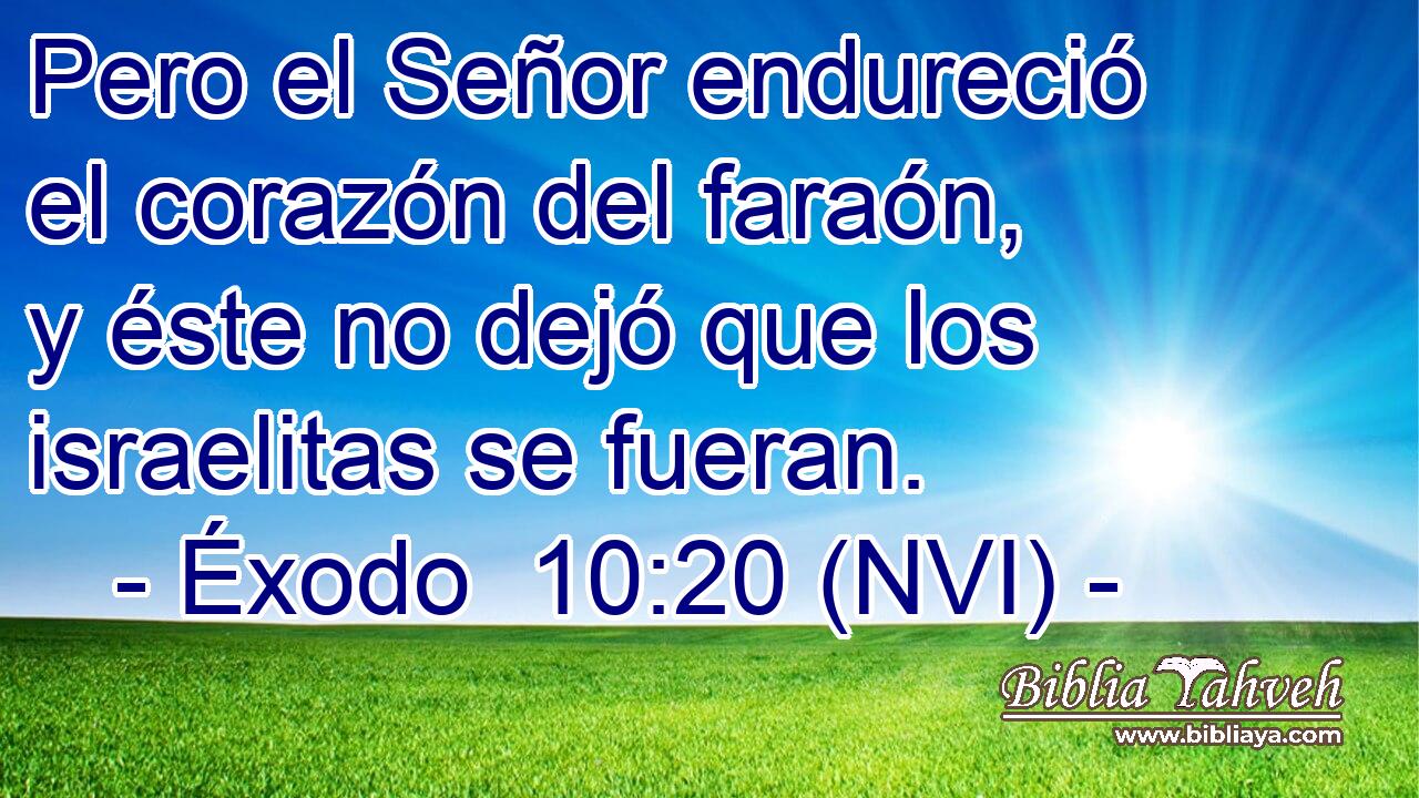  Pero el Señor endureció el corazón del faraón, y éste no dejó que los israelitas se fueran. 