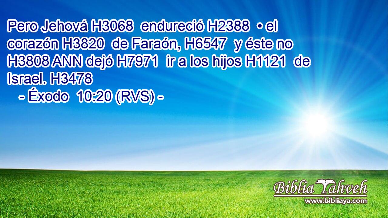 Pero Jehová H3068  endureció H2388  • el corazón H3820  de Faraón, H6547  y éste no H3808 ANN dejó H7971  ir a los hijos H1121  de Israel. H3478  