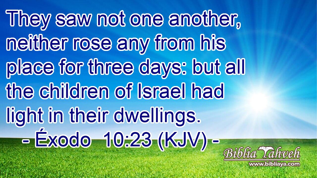 They saw not one another, neither rose any from his place for three days: but all the children of Israel had light in their dwellings.
