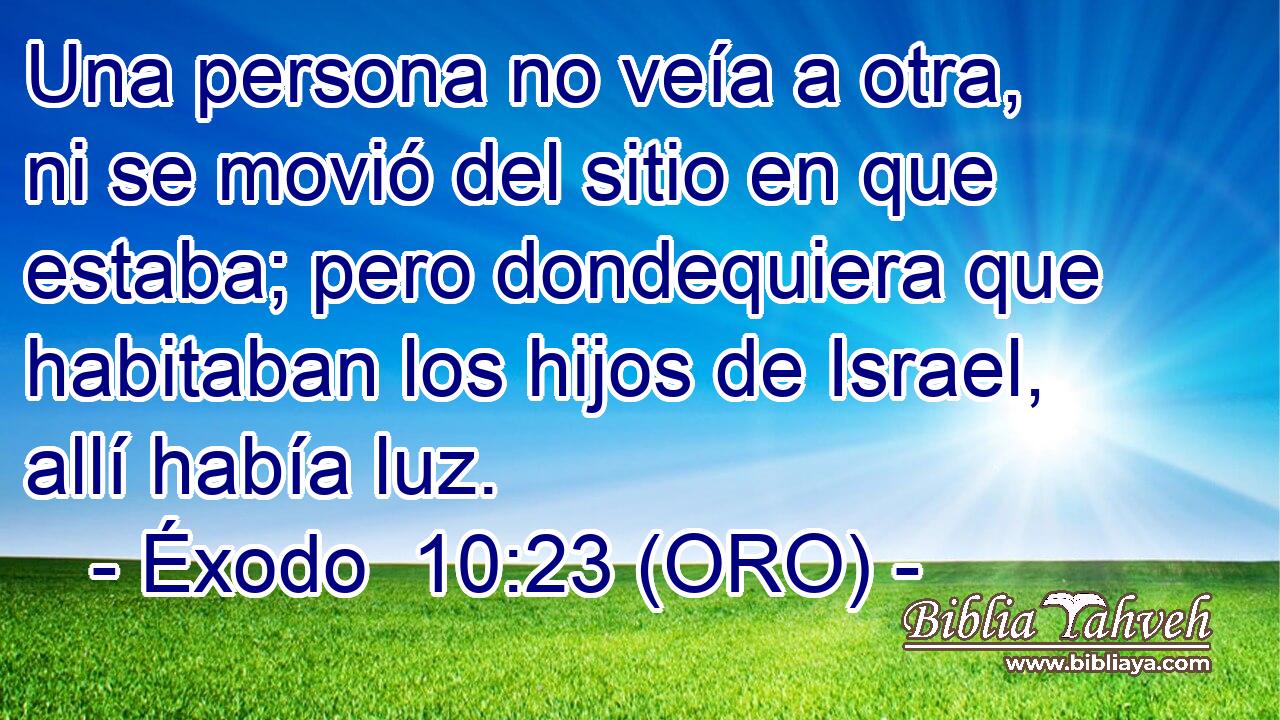  Una persona no veía a otra, ni se movió del sitio en que estaba; pero dondequiera que habitaban los hijos de Israel, allí había luz. 