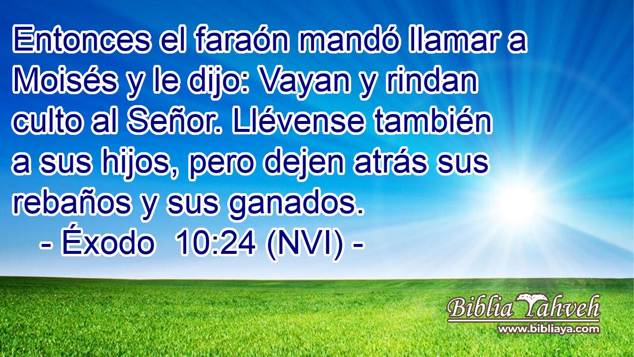 Entonces el faraón mandó llamar a Moisés y le dijo: Vayan y rindan culto al Señor. Llévense también a sus hijos, pero dejen atrás sus rebaños y sus ganados. 