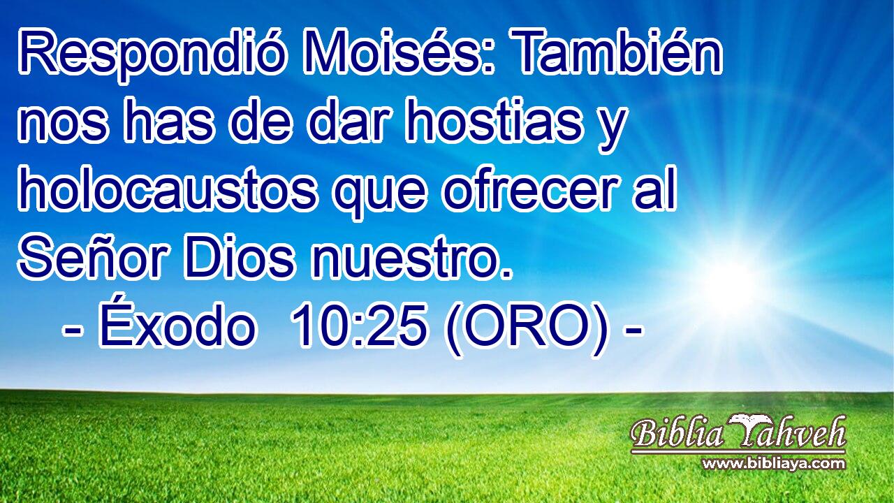 Respondió Moisés: También nos has de dar hostias y holocaustos que ofrecer al Señor Dios nuestro. 