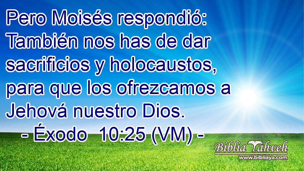  Pero Moisés respondió: También nos has de dar sacrificios y holocaustos, para que los ofrezcamos a Jehová nuestro Dios. 