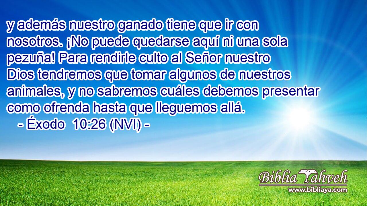  y además nuestro ganado tiene que ir con nosotros. ¡No puede quedarse aquí ni una sola pezuña! Para rendirle culto al Señor nuestro Dios tendremos que tomar algunos de nuestros animales, y no sabremos cuáles debemos presentar como ofrenda hasta que lleguemos allá. 
