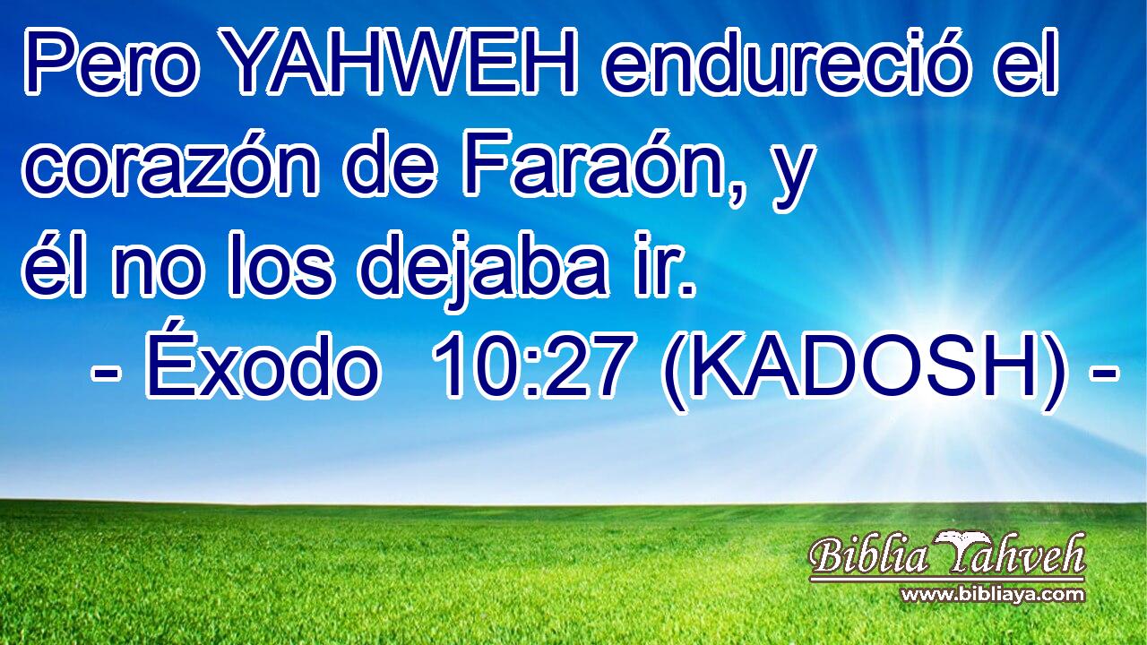  Pero YAHWEH endureció el corazón de Faraón, y él no los dejaba ir. 