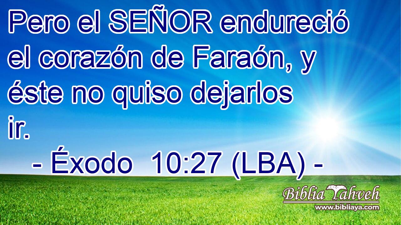 Pero el SEÑOR endureció el corazón de Faraón, y éste no quiso dejarlos ir.