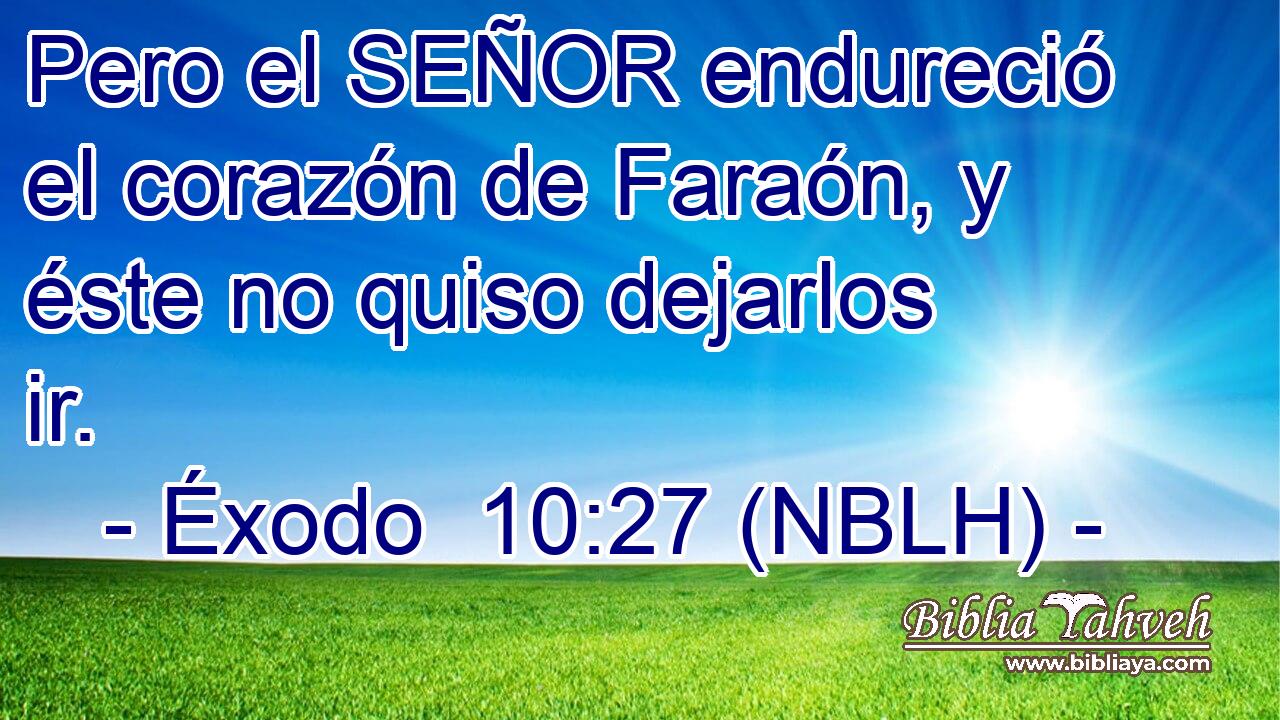  Pero el SEÑOR endureció el corazón de Faraón, y éste no quiso dejarlos ir. 