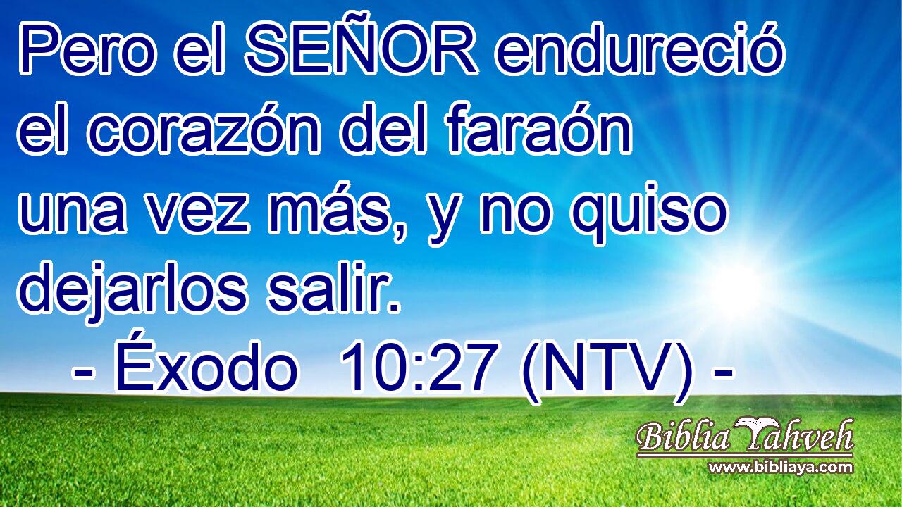 Pero el SEÑOR endureció el corazón del faraón una vez más, y no quiso dejarlos salir.