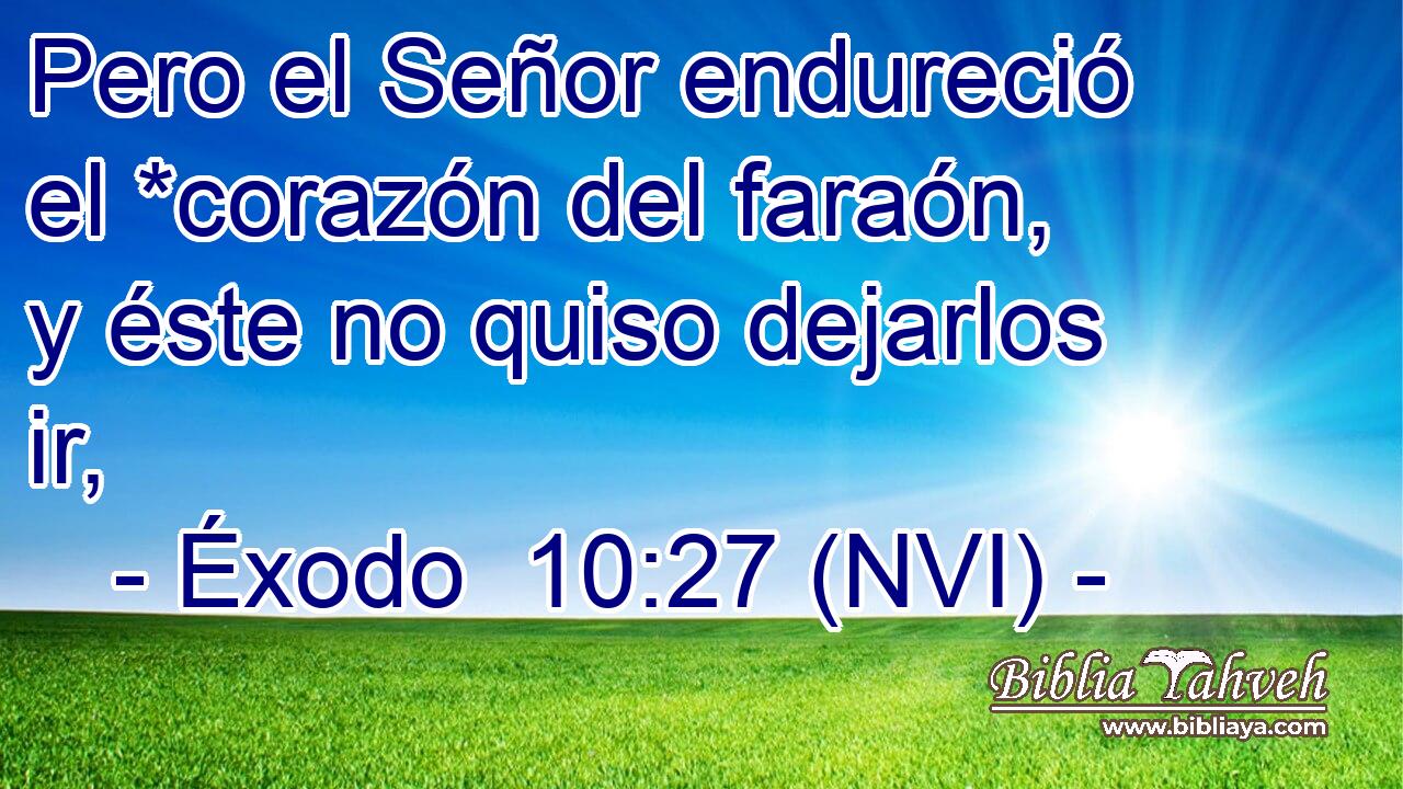  Pero el Señor endureció el *corazón del faraón, y éste no quiso dejarlos ir, 