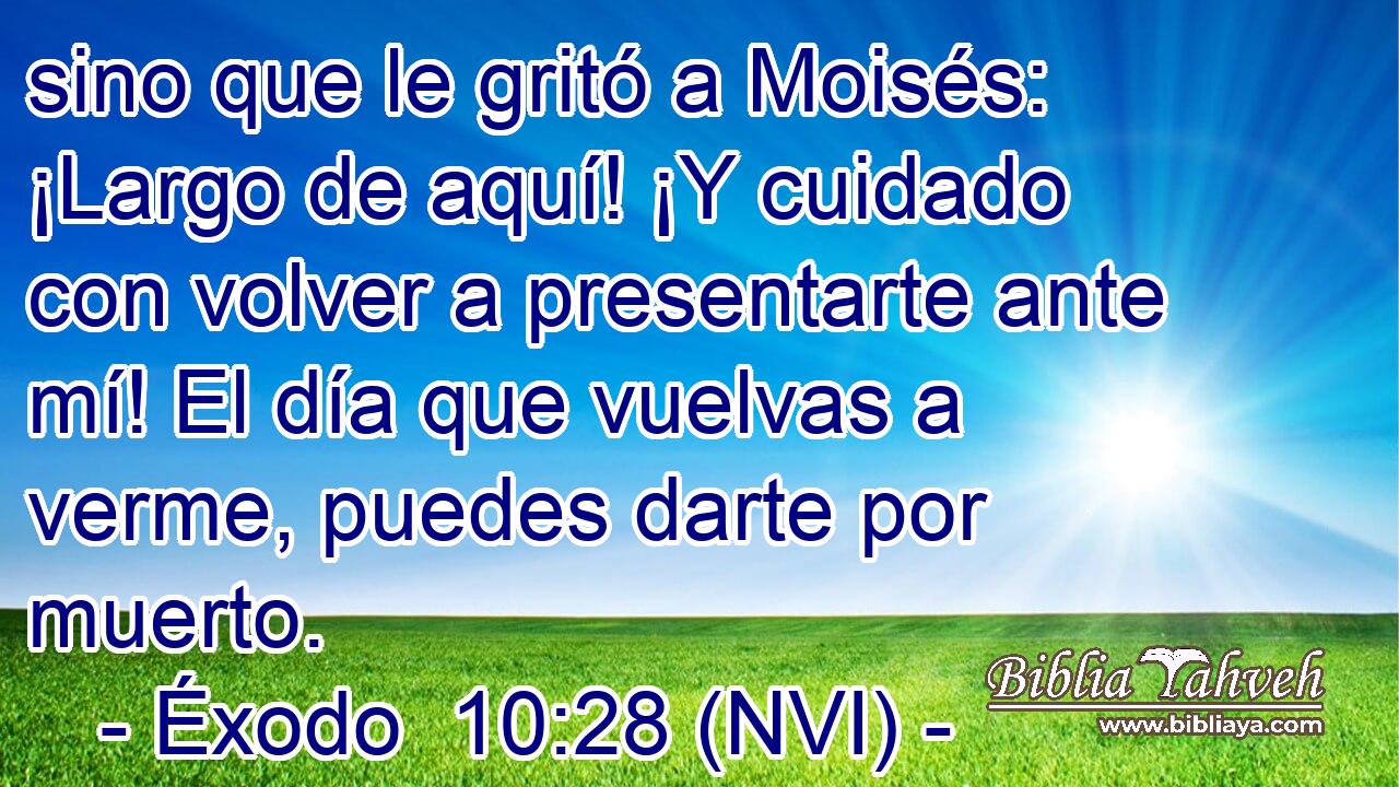  sino que le gritó a Moisés: ¡Largo de aquí! ¡Y cuidado con volver a presentarte ante mí! El día que vuelvas a verme, puedes darte por muerto. 