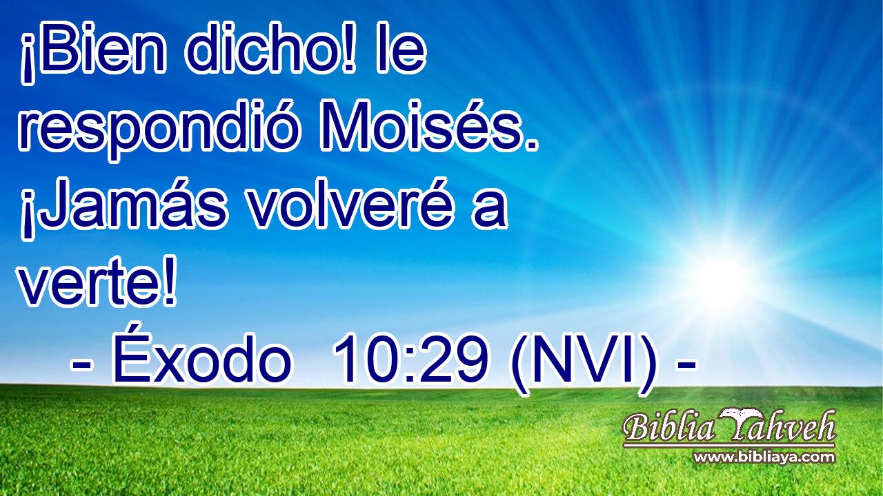  ¡Bien dicho! le respondió Moisés. ¡Jamás volveré a verte! 