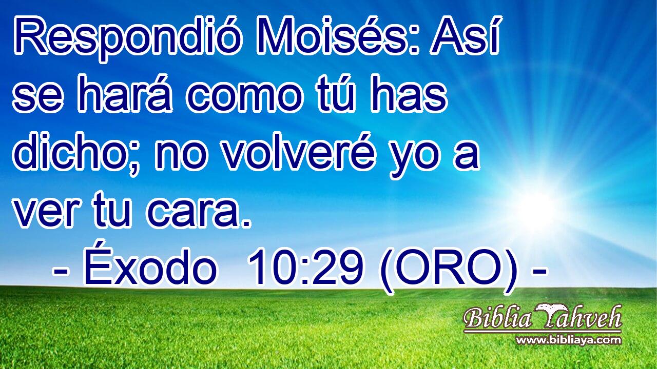  Respondió Moisés: Así se hará como tú has dicho; no volveré yo a ver tu cara. 