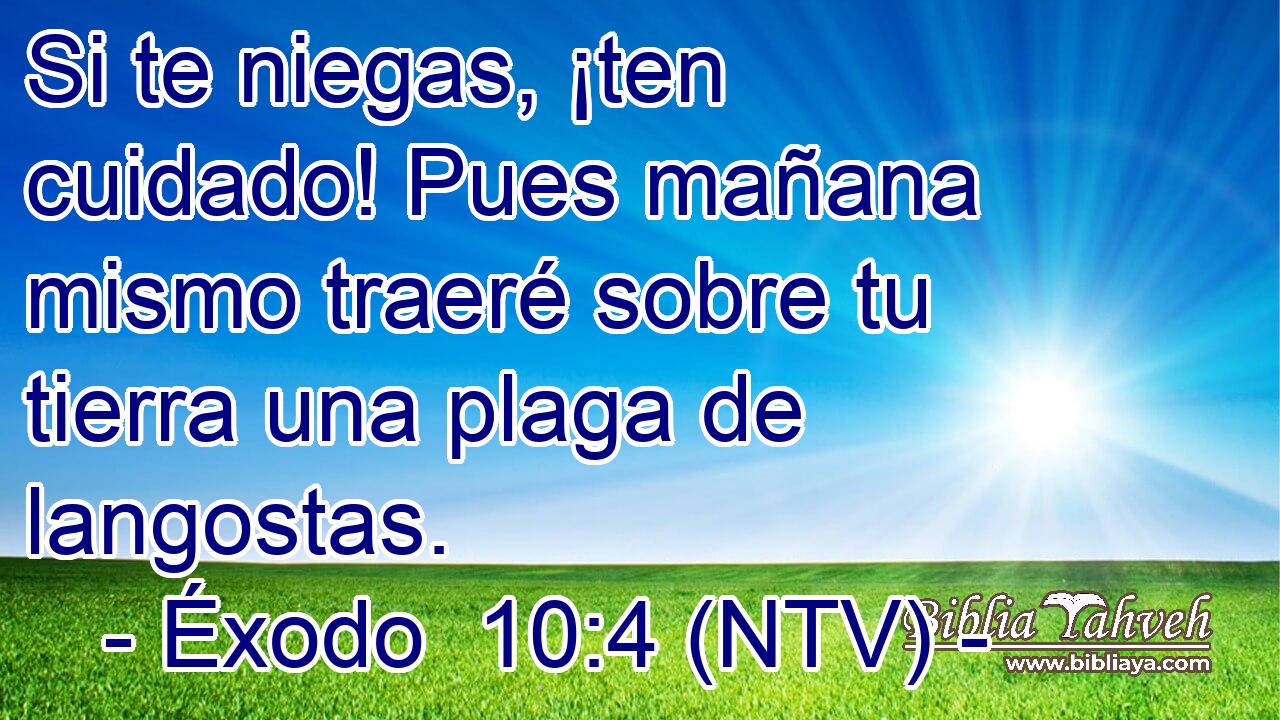 Si te niegas, ¡ten cuidado! Pues mañana mismo traeré sobre tu tierra una plaga de langostas.