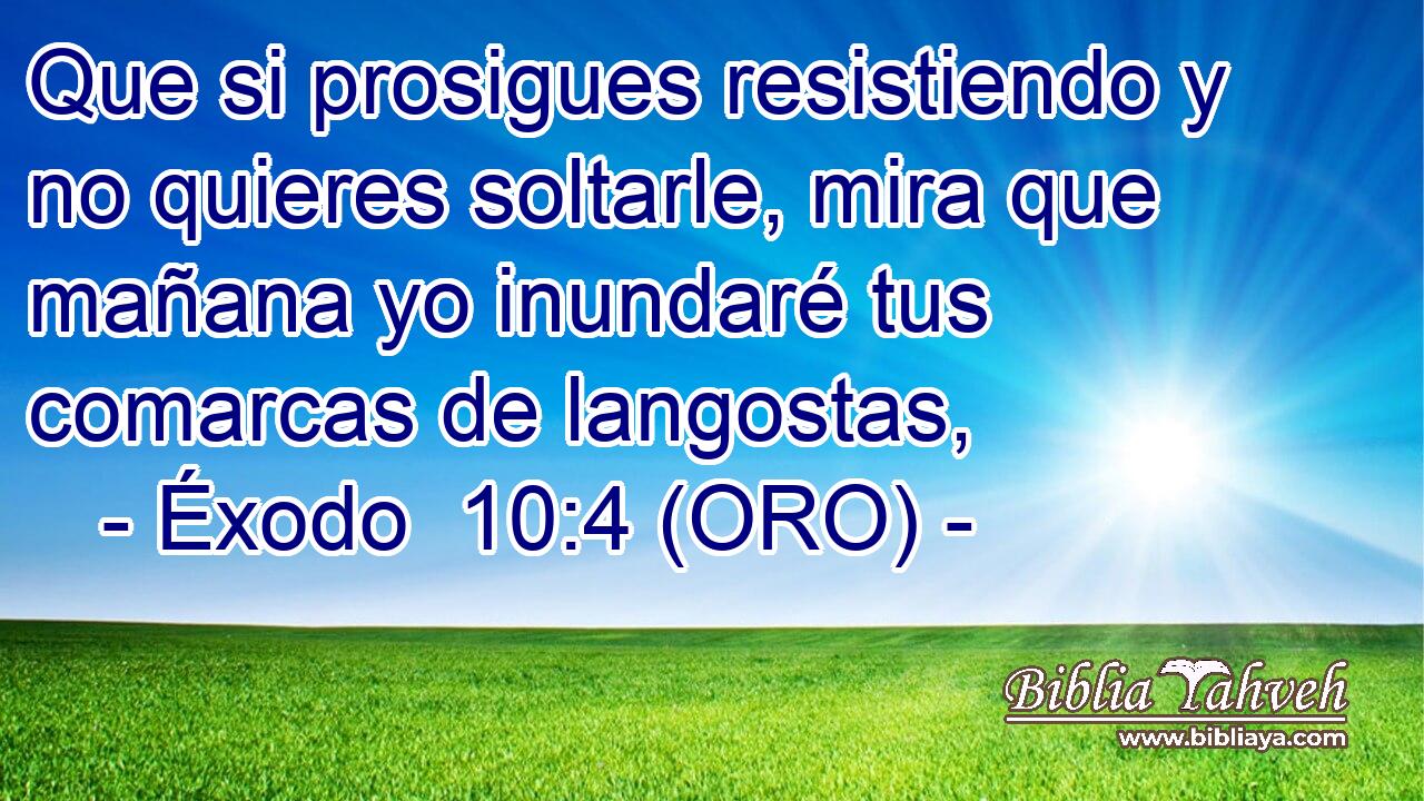  Que si prosigues resistiendo y no quieres soltarle, mira que mañana yo inundaré tus comarcas de langostas, 