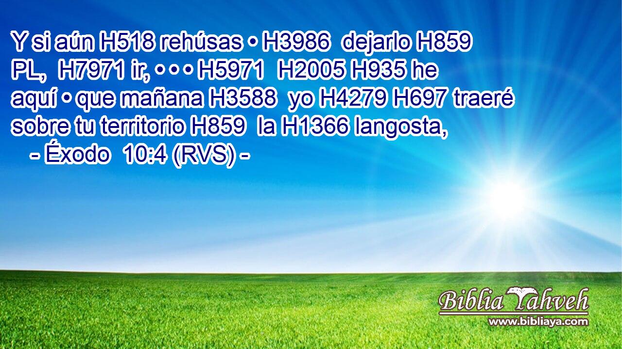 Y si aún H518 rehúsas • H3986  dejarlo H859 PL,  H7971 ir, • • • H5971  H2005 H935 he aquí • que mañana H3588  yo H4279 H697 traeré sobre tu territorio H859  la H1366 langosta, 
