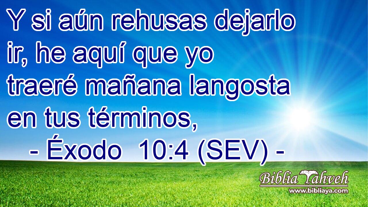 Y si aún rehusas dejarlo ir, he aquí que yo traeré mañana langosta en tus términos,