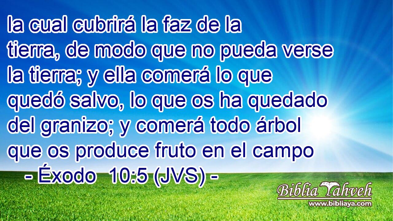 la cual cubrirá la faz de la tierra, de modo que no pueda verse la tierra; y ella comerá lo que quedó salvo, lo que os ha quedado del granizo; y comerá todo árbol que os produce fruto en el campo