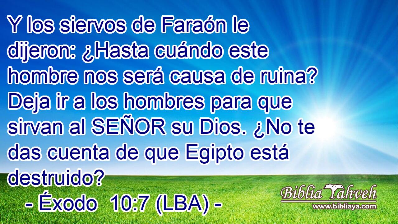 Y los siervos de Faraón le dijeron: ¿Hasta cuándo este hombre nos será causa de ruina? Deja ir a los hombres para que sirvan al SEÑOR su Dios. ¿No te das cuenta de que Egipto está destruido?