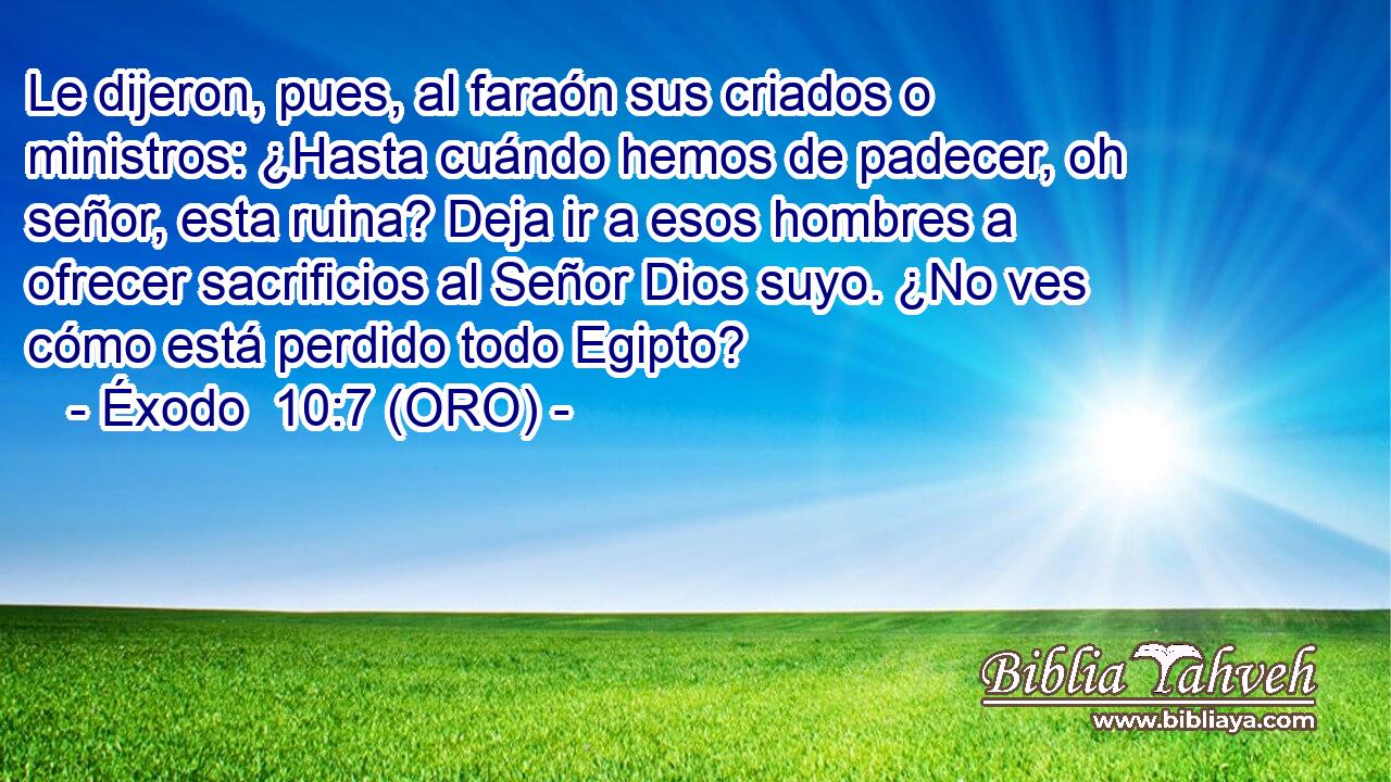  Le dijeron, pues, al faraón sus criados o ministros: ¿Hasta cuándo hemos de padecer, oh señor, esta ruina? Deja ir a esos hombres a ofrecer sacrificios al Señor Dios suyo. ¿No ves cómo está perdido todo Egipto? 