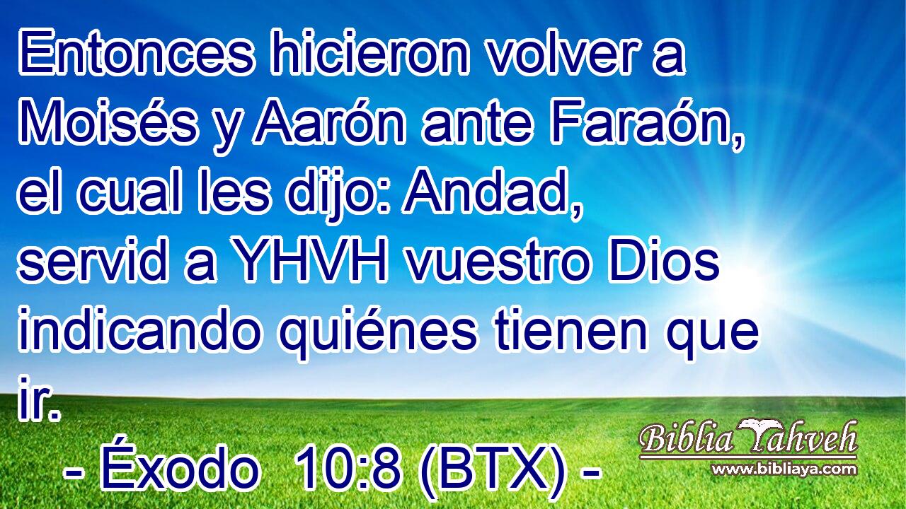 Entonces hicieron volver a Moisés y Aarón ante Faraón, el cual les dijo: Andad, servid a YHVH vuestro Dios indicando quiénes tienen que ir.