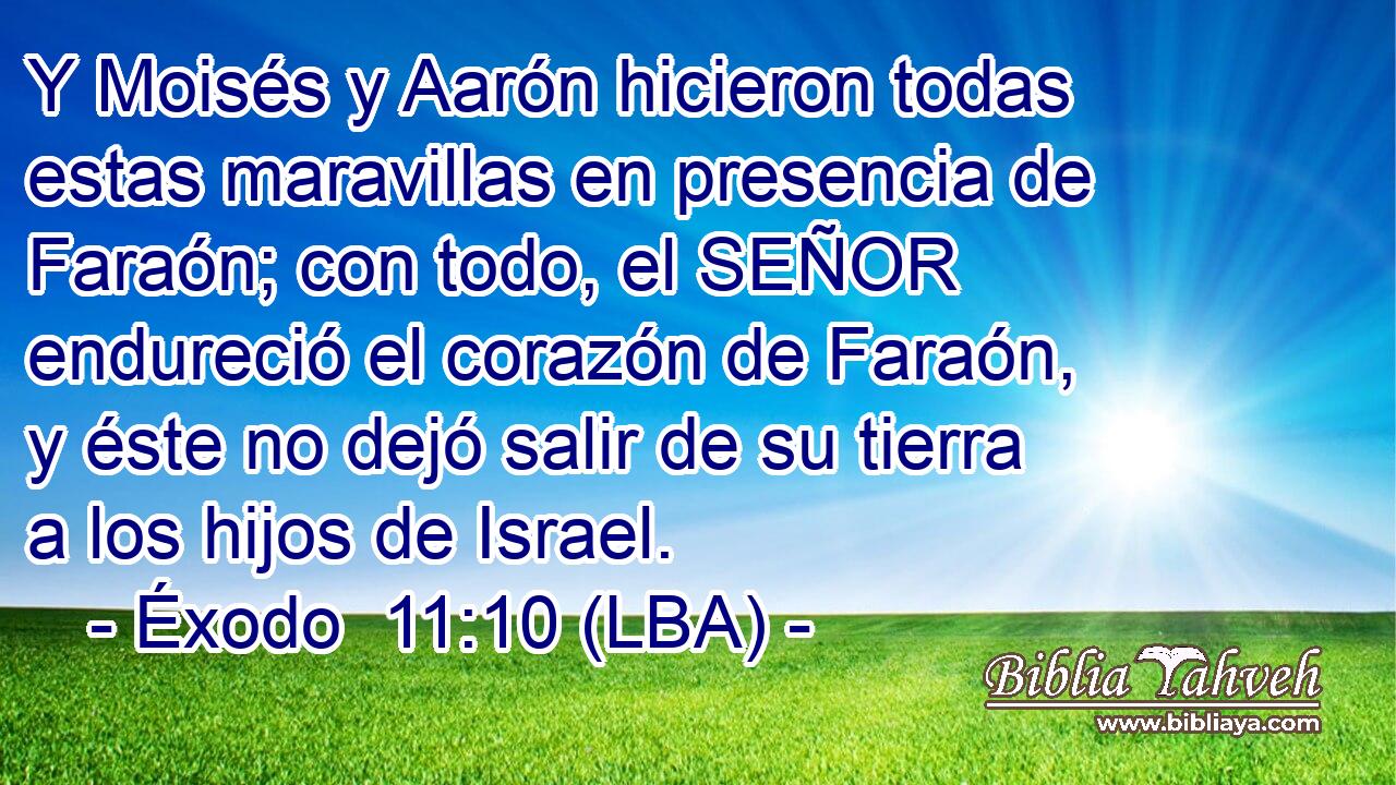 Y Moisés y Aarón hicieron todas estas maravillas en presencia de Faraón; con todo, el SEÑOR endureció el corazón de Faraón, y éste no dejó salir de su tierra a los hijos de Israel.