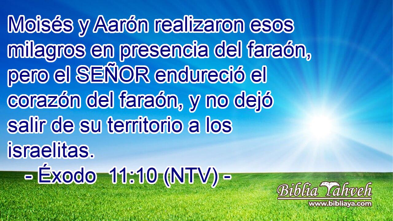 Moisés y Aarón realizaron esos milagros en presencia del faraón, pero el SEÑOR endureció el corazón del faraón, y no dejó salir de su territorio a los israelitas.