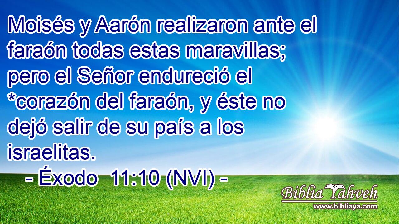  Moisés y Aarón realizaron ante el faraón todas estas maravillas; pero el Señor endureció el *corazón del faraón, y éste no dejó salir de su país a los israelitas. 