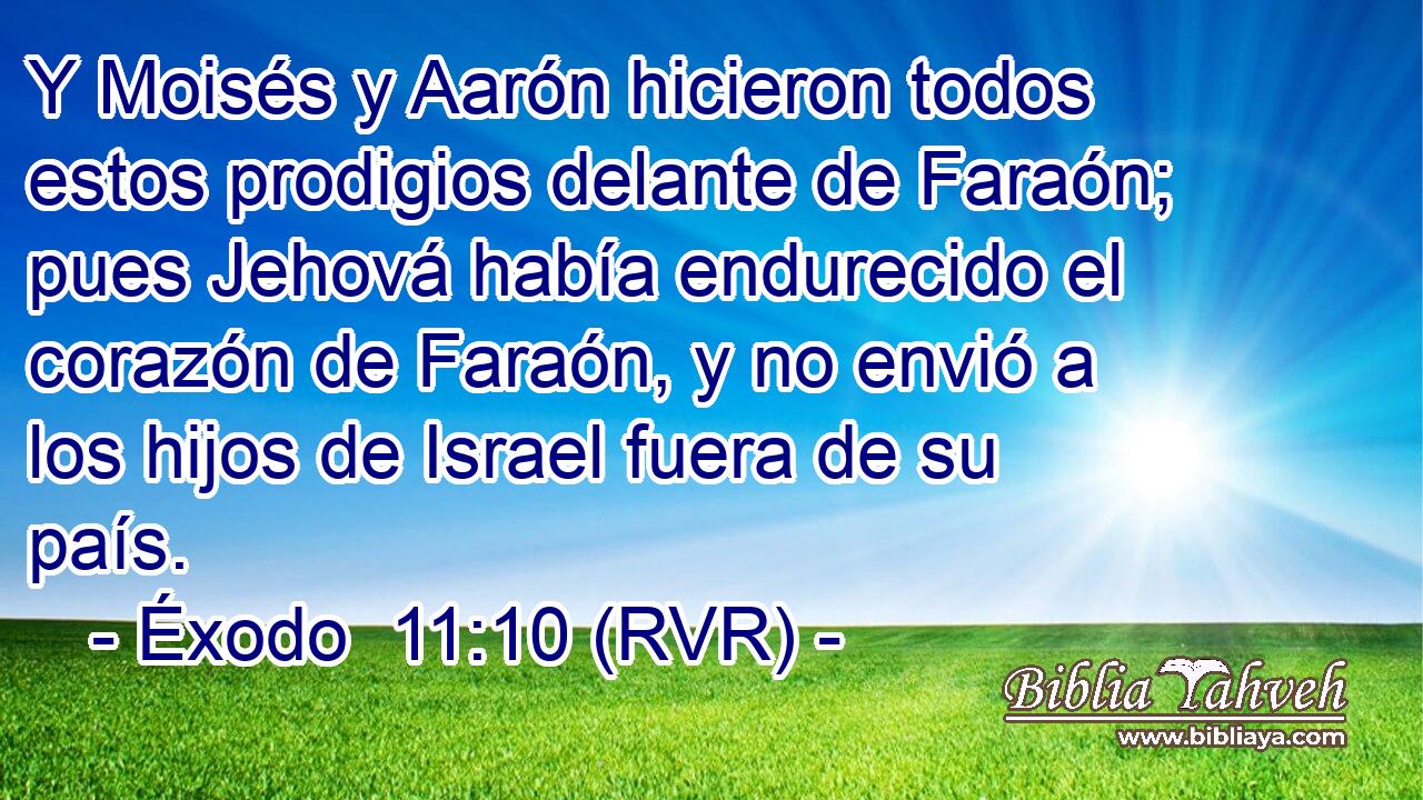 Y Moisés y Aarón hicieron todos estos prodigios delante de Faraón; pues Jehová había endurecido el corazón de Faraón, y no envió a los hijos de Israel fuera de su país.