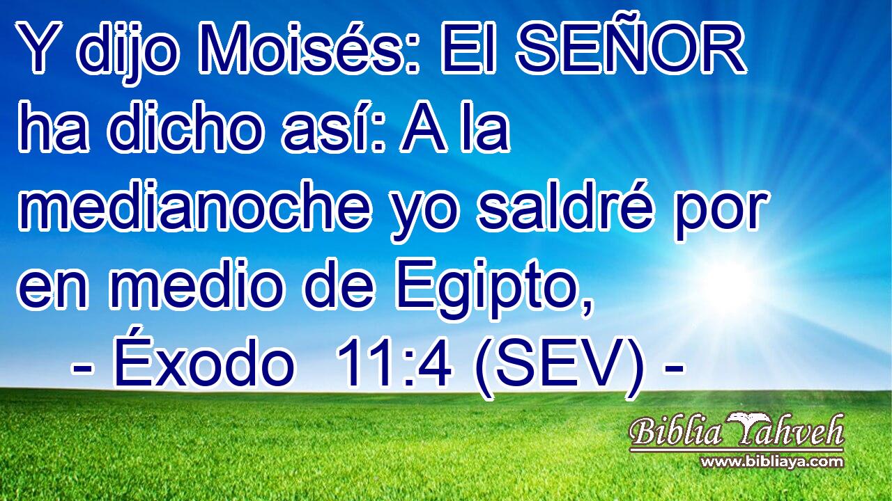 Y dijo Moisés: El SEÑOR ha dicho así: A la medianoche yo saldré por en medio de Egipto,