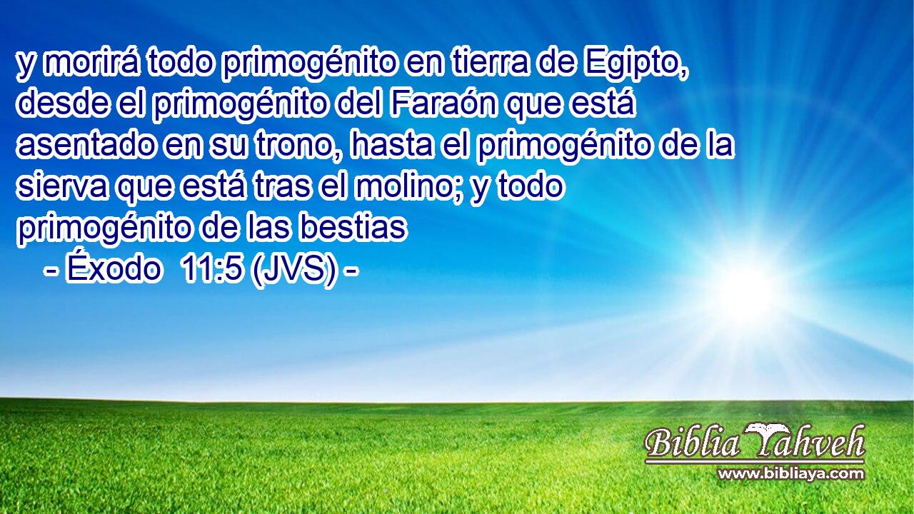 y morirá todo primogénito en tierra de Egipto, desde el primogénito del Faraón que está asentado en su trono, hasta el primogénito de la sierva que está tras el molino; y todo primogénito de las bestias