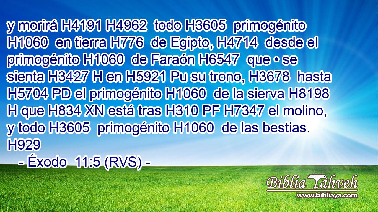 y morirá H4191 H4962  todo H3605  primogénito H1060  en tierra H776  de Egipto, H4714  desde el primogénito H1060  de Faraón H6547  que • se sienta H3427 H en H5921 Pu su trono, H3678  hasta H5704 PD el primogénito H1060  de la sierva H8198 H que H834 XN está tras H310 PF H7347 el molino, y todo H3605  primogénito H1060  de las bestias. H929  