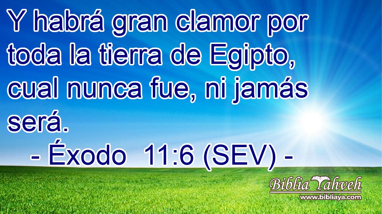 Y habrá gran clamor por toda la tierra de Egipto, cual nunca fue, ni jamás será.
