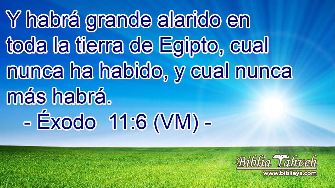  Y habrá grande alarido en toda la tierra de Egipto, cual nunca ha habido, y cual nunca más habrá. 