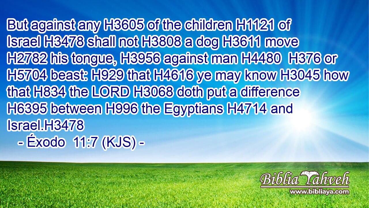 But against any H3605 of the children H1121 of Israel H3478 shall not H3808 a dog H3611 move H2782 his tongue, H3956 against man H4480  H376 or H5704 beast: H929 that H4616 ye may know H3045 how that H834 the LORD H3068 doth put a difference H6395 between H996 the Egyptians H4714 and Israel.H3478