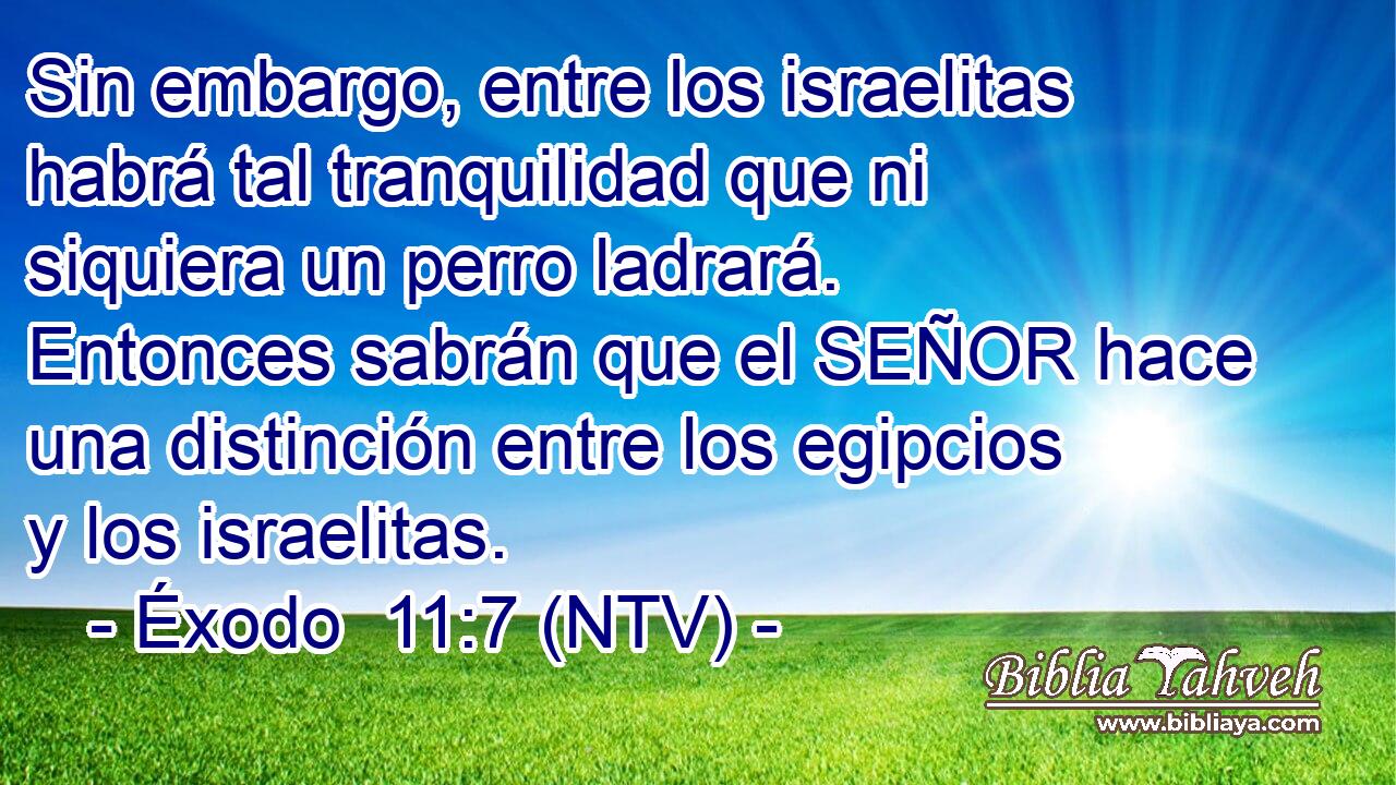 Sin embargo, entre los israelitas habrá tal tranquilidad que ni siquiera un perro ladrará. Entonces sabrán que el SEÑOR hace una distinción entre los egipcios y los israelitas.