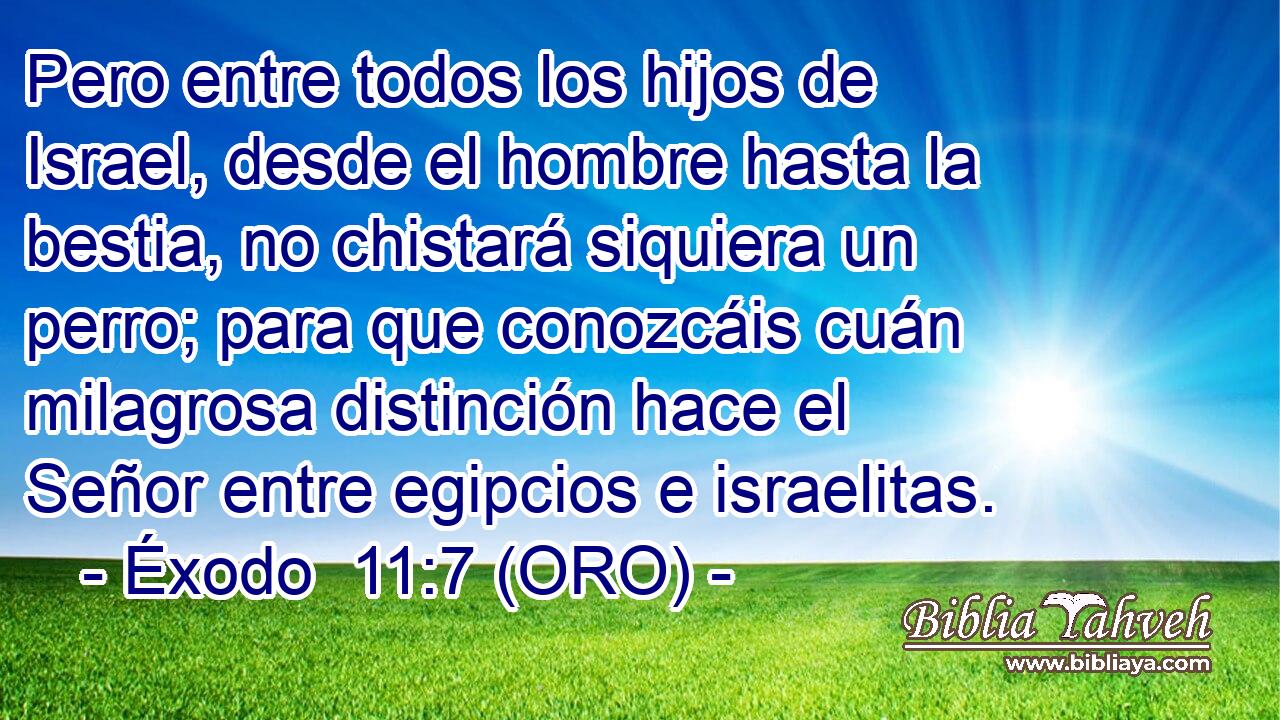  Pero entre todos los hijos de Israel, desde el hombre hasta la bestia, no chistará siquiera un perro; para que conozcáis cuán milagrosa distinción hace el Señor entre egipcios e israelitas. 