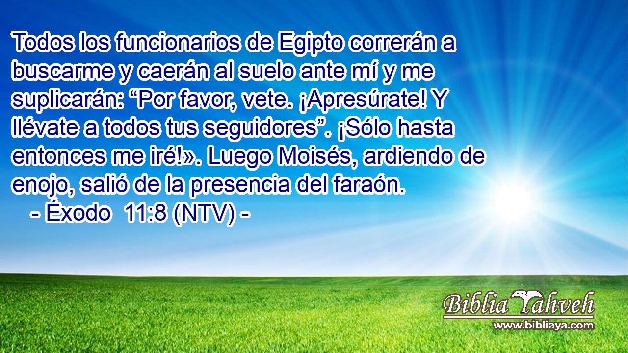 Todos los funcionarios de Egipto correrán a buscarme y caerán al suelo ante mí y me suplicarán: “Por favor, vete. ¡Apresúrate! Y llévate a todos tus seguidores”. ¡Sólo hasta entonces me iré!». Luego Moisés, ardiendo de enojo, salió de la presencia del faraón.