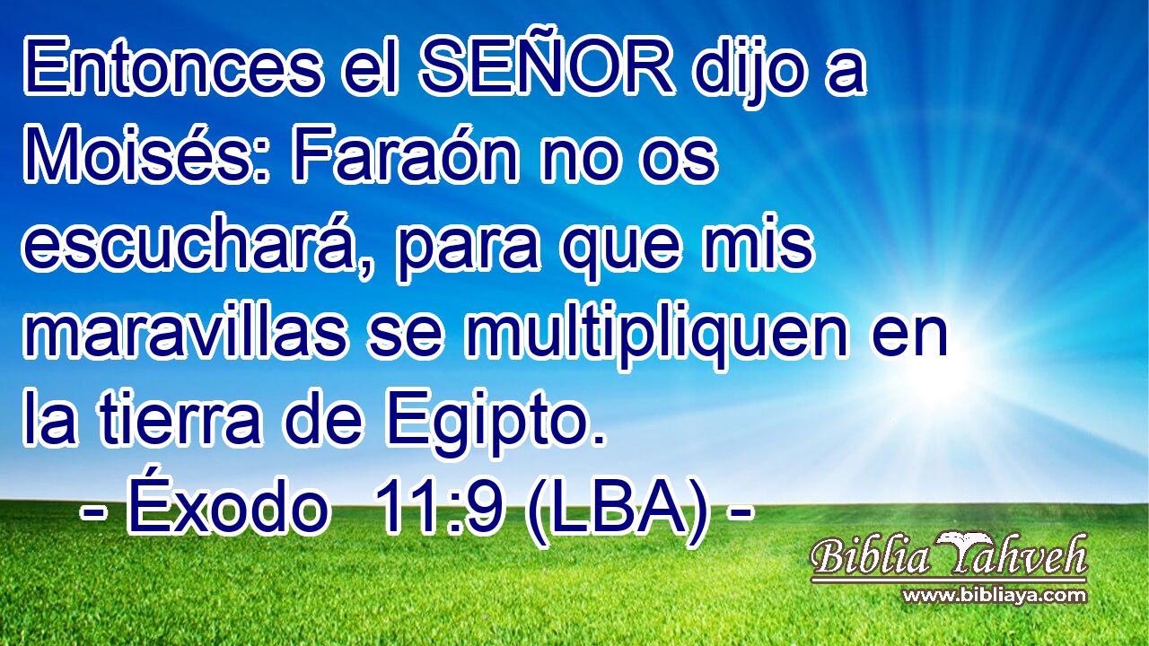 Entonces el SEÑOR dijo a Moisés: Faraón no os escuchará, para que mis maravillas se multipliquen en la tierra de Egipto.