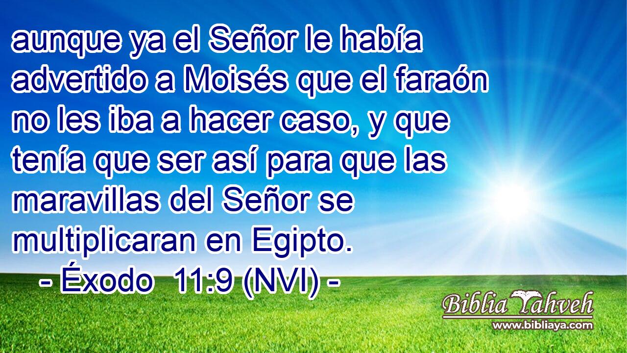 aunque ya el Señor le había advertido a Moisés que el faraón no les iba a hacer caso, y que tenía que ser así para que las maravillas del Señor se multiplicaran en Egipto. 