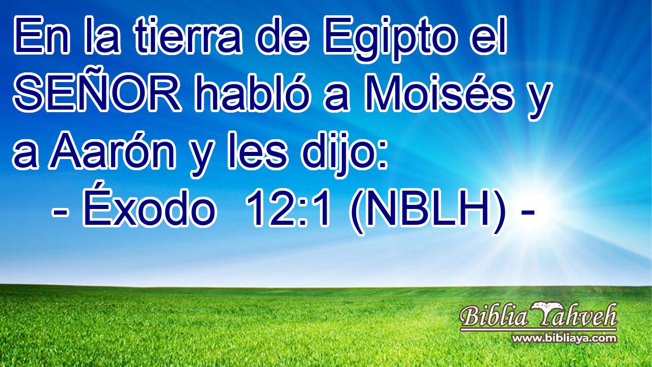  En la tierra de Egipto el SEÑOR habló a Moisés y a Aarón y les dijo: 
