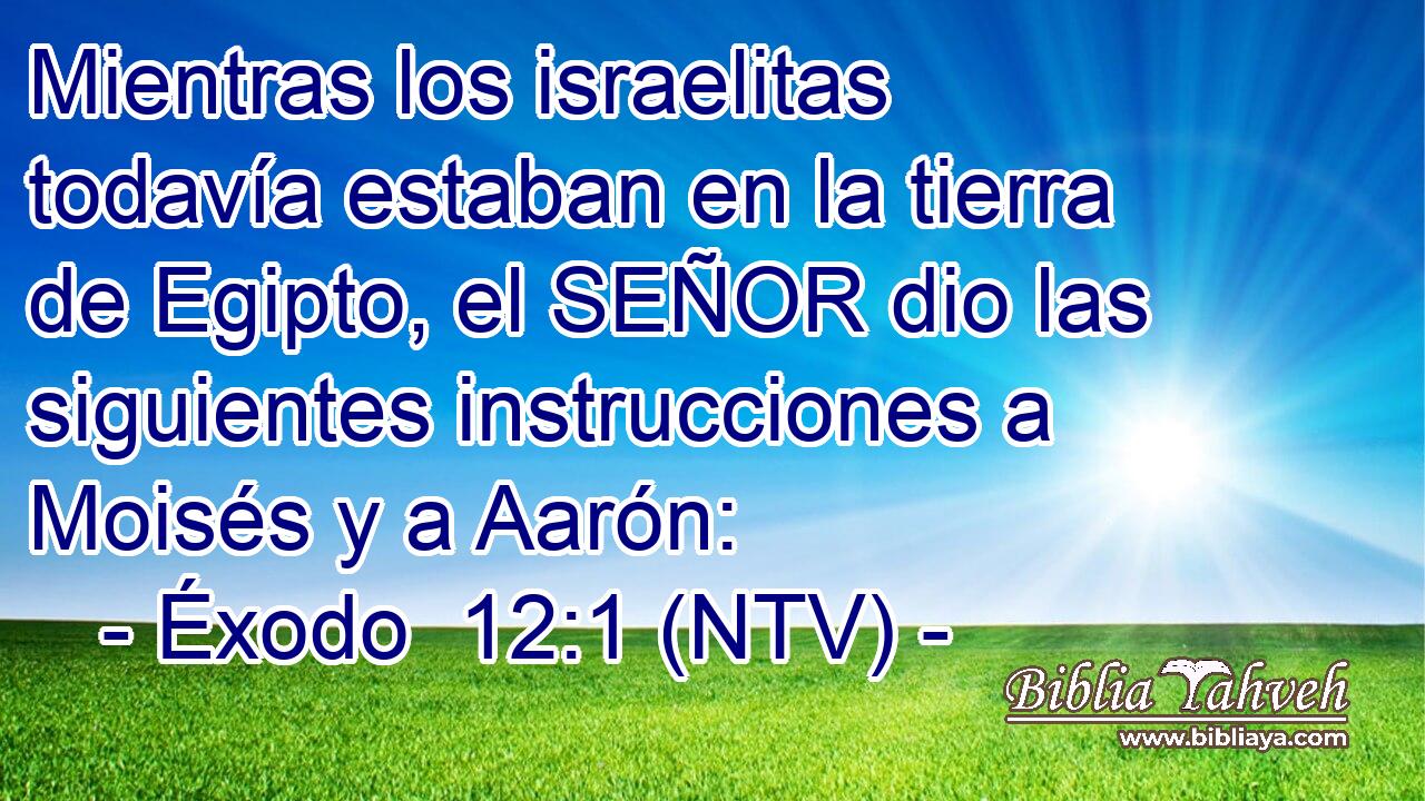 Mientras los israelitas todavía estaban en la tierra de Egipto, el SEÑOR dio las siguientes instrucciones a Moisés y a Aarón: