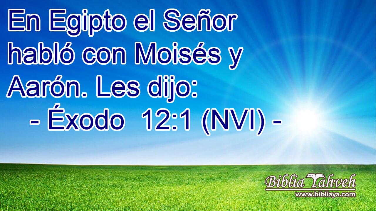  En Egipto el Señor habló con Moisés y Aarón. Les dijo: 