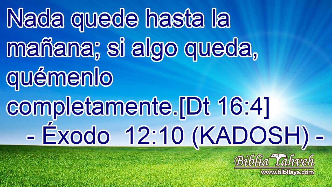  Nada quede hasta la mañana; si algo queda, quémenlo completamente.[Dt 16:4] 