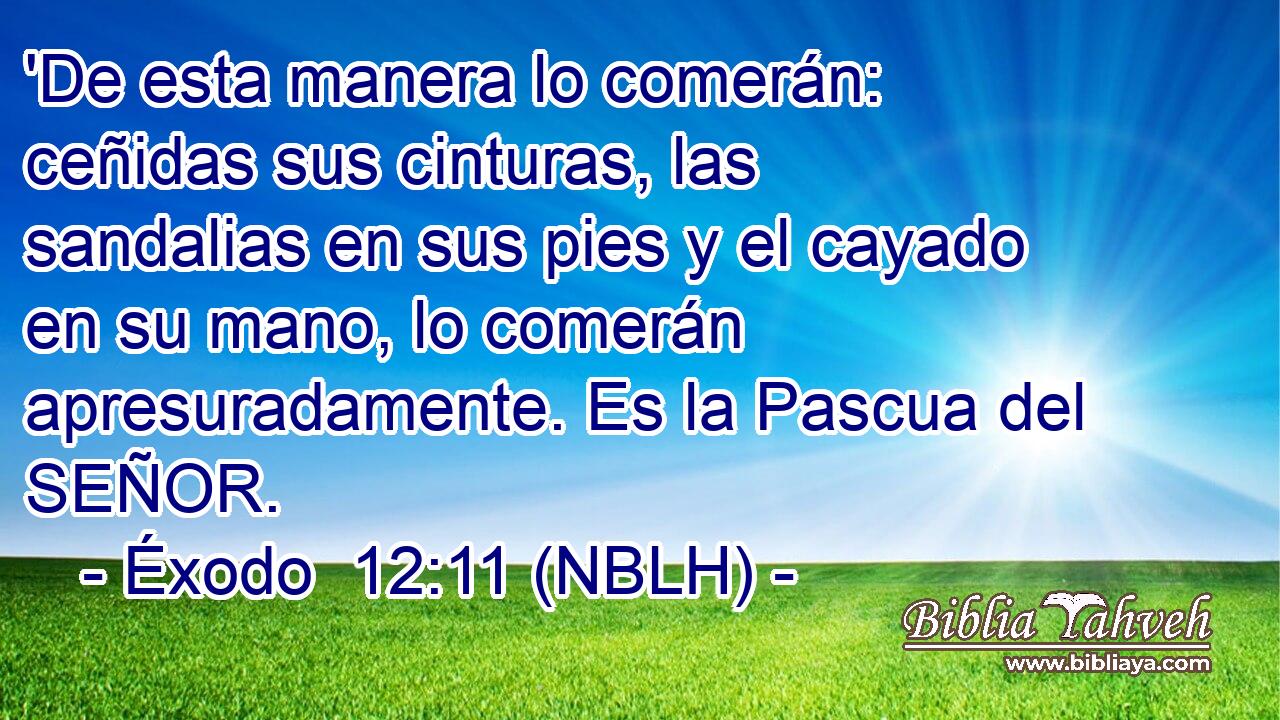  'De esta manera lo comerán: ceñidas sus cinturas, las sandalias en sus pies y el cayado en su mano, lo comerán apresuradamente. Es la Pascua del SEÑOR. 