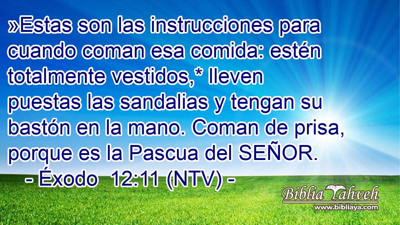 »Estas son las instrucciones para cuando coman esa comida: estén totalmente vestidos,* lleven puestas las sandalias y tengan su bastón en la mano. Coman de prisa, porque es la Pascua del SEÑOR.
