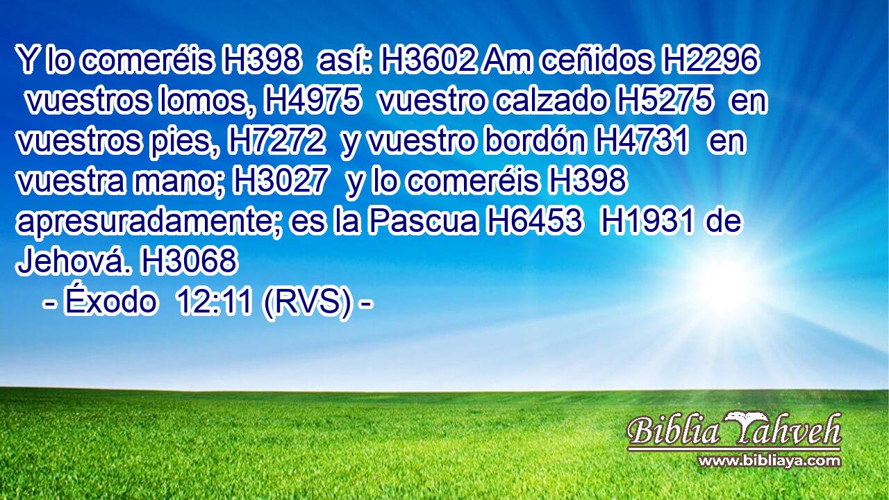 Y lo comeréis H398  así: H3602 Am ceñidos H2296  vuestros lomos, H4975  vuestro calzado H5275  en vuestros pies, H7272  y vuestro bordón H4731  en vuestra mano; H3027  y lo comeréis H398  apresuradamente; es la Pascua H6453  H1931 de Jehová. H3068  