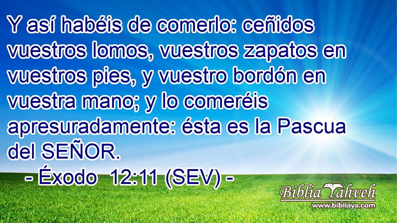 Y así habéis de comerlo: ceñidos vuestros lomos, vuestros zapatos en vuestros pies, y vuestro bordón en vuestra mano; y lo comeréis apresuradamente: ésta es la Pascua del SEÑOR.