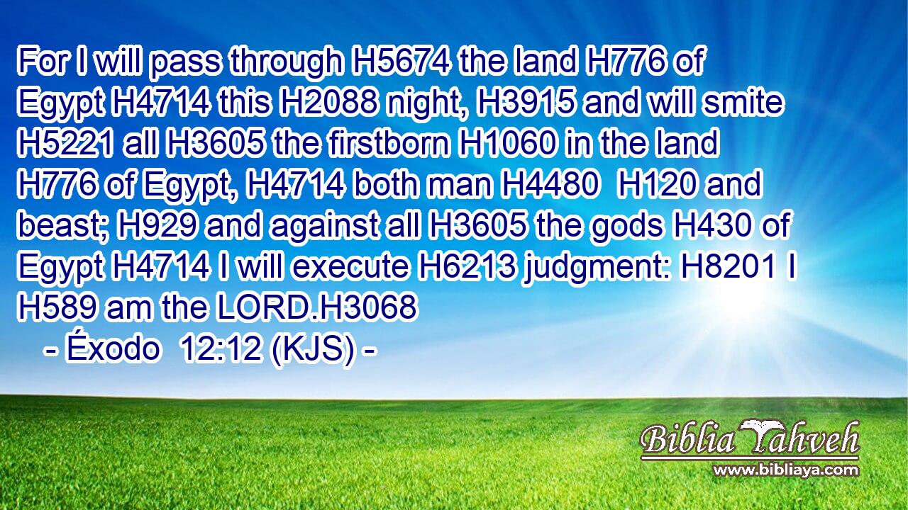 For I will pass through H5674 the land H776 of Egypt H4714 this H2088 night, H3915 and will smite H5221 all H3605 the firstborn H1060 in the land H776 of Egypt, H4714 both man H4480  H120 and beast; H929 and against all H3605 the gods H430 of Egypt H4714 I will execute H6213 judgment: H8201 I H589 am the LORD.H3068